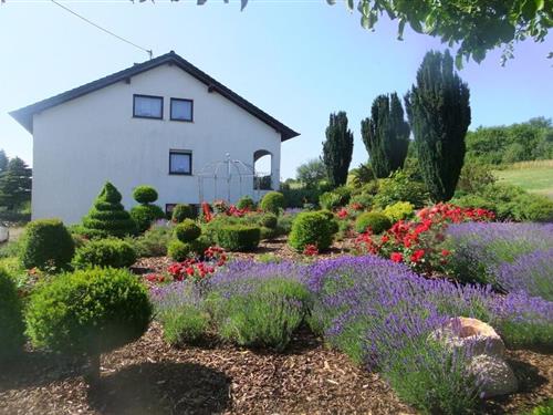 Sommerhus - 6 personer -  - 54413 - Beuren