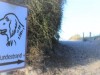 Billede 30