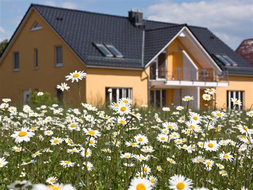 Ferielejlighed - 4 personer -  - Am Lorenweg - 17213 - Göhren-Lebbin