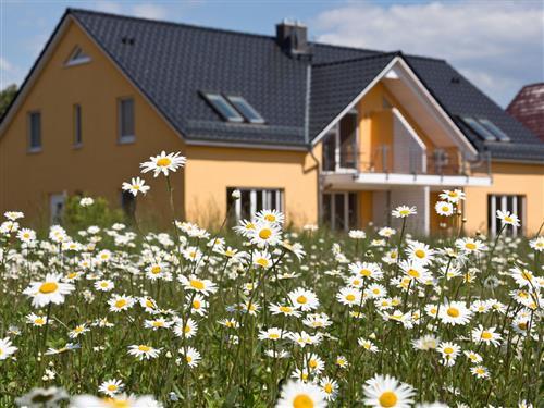 Semesterlägenhet - 4 personer -  - Am Lorenweg - 17213 - Göhren-Lebbin