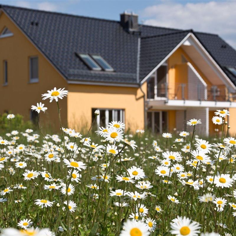 Ferielejlighed - 4 personer -  - Am Lorenweg - 17213 - Göhren-Lebbin