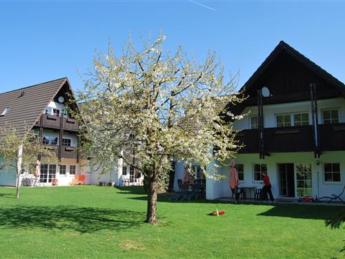 Holiday Home/Apartment - 4 persons -  - Mühlwiese - 37445 - Walkenried