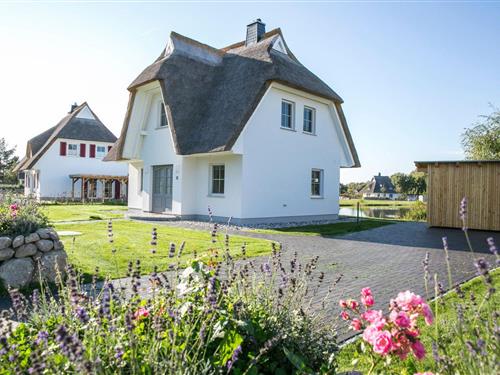 Feriehus - 4 personer -  - Am Schwanenschlage - 18356 - Fuhlendorf