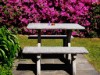 Image 4 - Outside