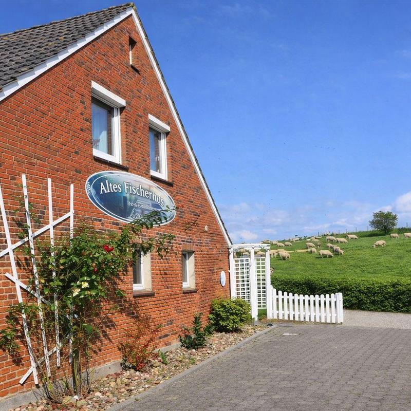 Ferielejlighed - 2 personer -  - Deichstraße - 26434 - Schillig