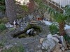 Bild 13