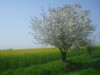 Bild 19