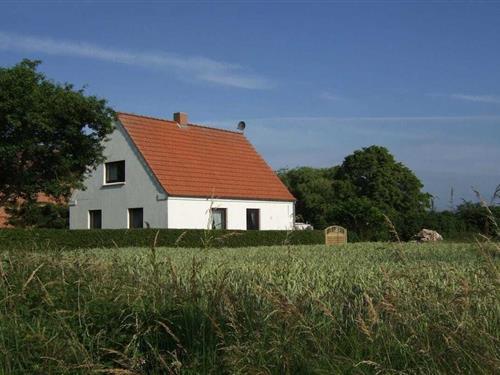 Bondehus - 5 personer -  - 24402 - Wippendorf