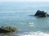 Bilde 9