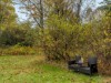 Image 7 - Plot