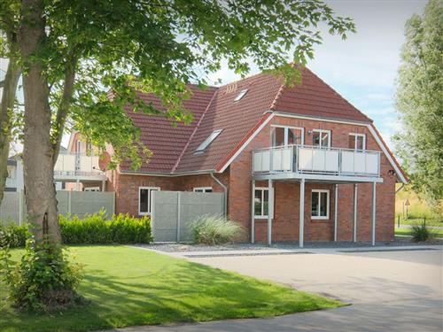 Ferienhaus - 5 Personen -  - Friedrichsgroden - 26409 - Carolinensiel-Harlesiel