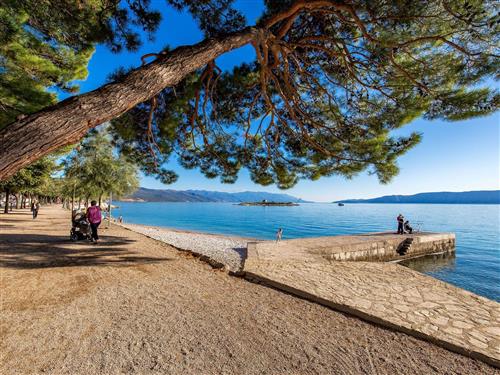 Holiday apartment - 2 persons -  - Novi Vinodolski - 51250