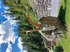 Bild 75