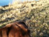 Bild 22