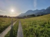 Bild 17