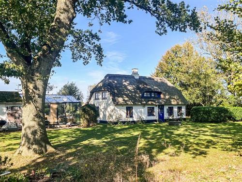 Ferienhaus - 4 Personen -  - Tværbjerg - Halk Strand - 6100 - Haderslev