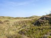 Billede 21 - Grund