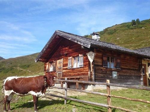 Semesterhus/Semesterlägenhet - 10 personer -  - Neukirchen