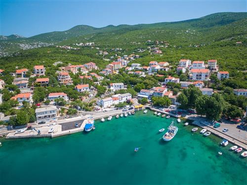 Holiday apartment - 5 persons -  - Novi Vinodolski/Klenovica - 51252