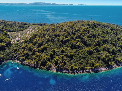 Ferienhaus - 8 Personen -  - Kosirina bb - Korcula-Brna - 20272 - Brna
