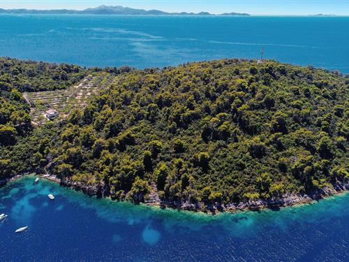 Holiday home - 8 persons -  - Kosirina bb - Korcula-Brna - 20272 - Brna