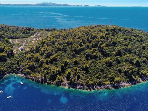 Ferienhaus - 8 Personen -  - Kosirina bb - Korcula-Brna - 20272 - Brna