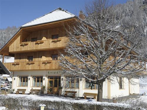 Holiday Home/Apartment - 5 persons -  - Fell - 5582 - Sankt Michael Im Lungau