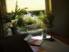 Bilde 2 - Inne