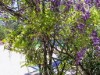 Image 39 - Outside