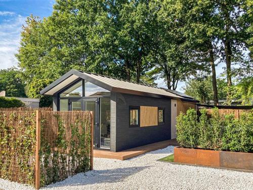 Holiday home - 6 persons -  - Huinerweg - 3882 TE - Putten