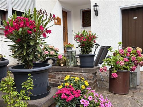 Ferielejlighed - 4 personer -  - Von-Wiltberg-Straße - 56332 - Alken