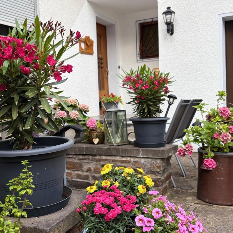 Ferielejlighed - 4 personer -  - Von-Wiltberg-Straße - 56332 - Alken
