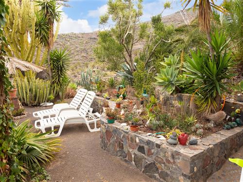 Holiday home - 3 persons -  - Tazo - 38840 - Vallehermoso