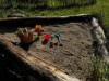 Billede 6