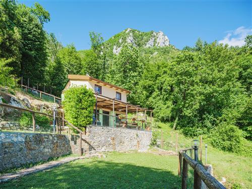 Feriehus / leilighet - 4 personer -  - Camaiore - 55040