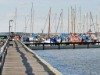 Bilde 14