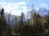 Bilde 4