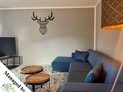 Ferielejlighed - 2 personer -  - Pfingstanger - 38667 - Bad Harzburg