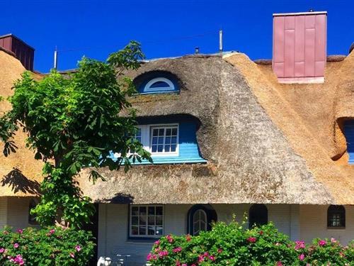 Fritidshus - 5 personer -  - 25938 - Nieblum