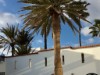 Bild 31 - Ude