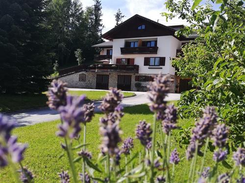  - 2 personer -  - Hohenau - 8162 - Passail