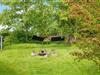 Billede 14 - Grund