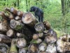 Bild 14