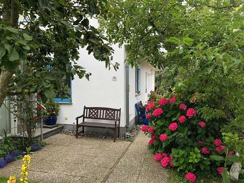 Ferienhaus - 3 Personen -  - Garten, Parkplatz, Wäschepaket - 18375 - Wieck