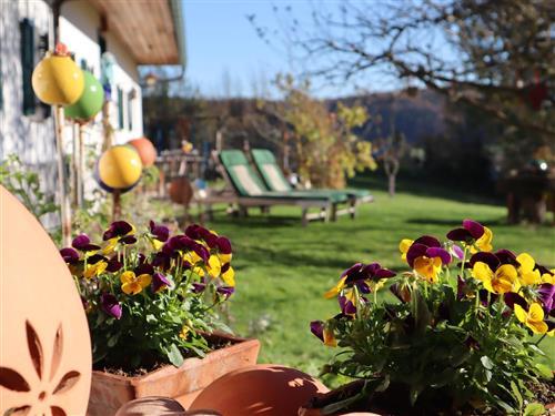 Holiday apartment - 4 persons -  - Auersbach - 8330 - Feldbach