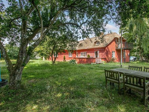 Sommerhus - 8 personer -  - Kattegatvej - 9370 - Hals