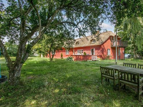 Ferienhaus - 8 Personen -  - Kattegatvej - 9370 - Hals