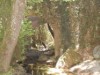 Billede 34