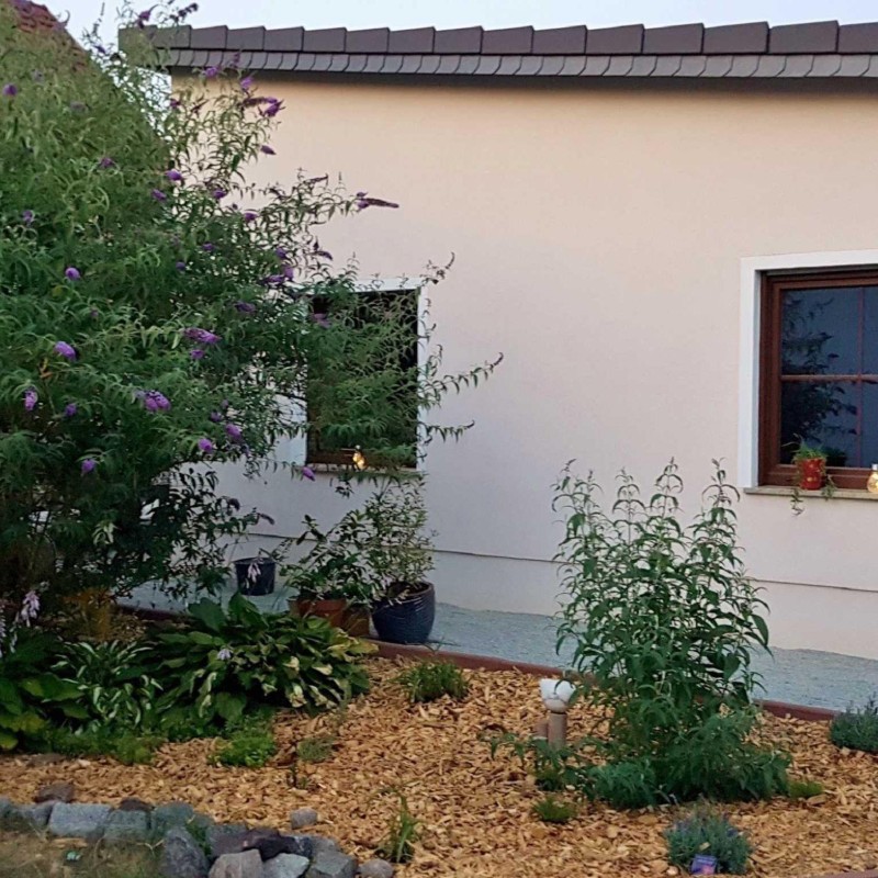 Ferielejlighed - 4 personer -  - Dorfstraße - 02991 - Lauta - Dorf