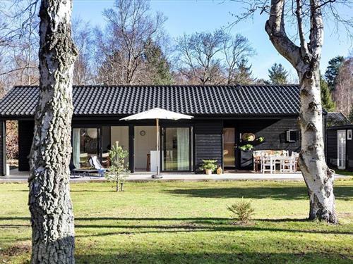 Sommerhus - 8 personer -  - Piletoften - 3300 - Asserbo